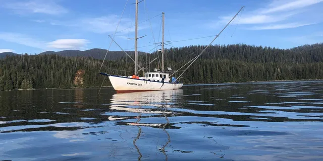 Sitka Whale Watching and Hot Springs Tour - Image 3