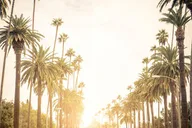 Los Angeles Airport Transfer thumbnail 3
