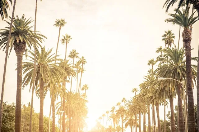 Los Angeles Airport Transfer - Image 3