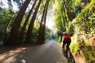San Francisco Muir Woods Cycling Tour thumbnail 3