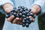 Napa Valley Private Custom Wine Tour thumbnail 6