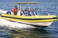 Miami Jet Ski and Speedboat Adventure thumbnail 4