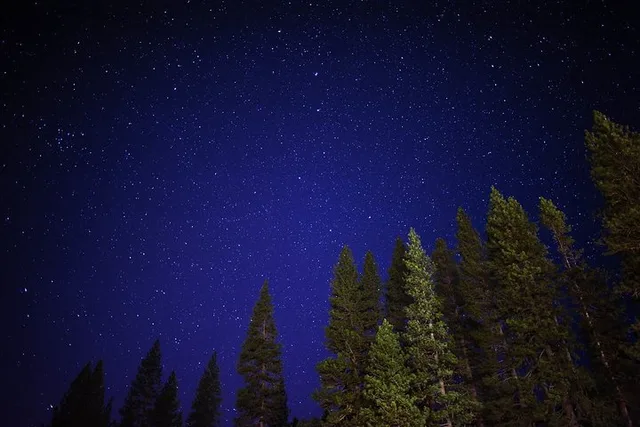 Sequoia National Park Stargazing Tour - Image 6