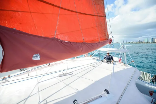Waikiki Heritage and Diamond Head Wildlife Sail - Image 3