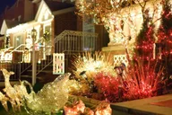 New York Christmas Lights Bus Tour thumbnail 4