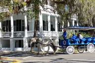 Beaufort Horse Drawn Carriage Tour thumbnail 5
