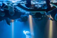 Kailua-Kona Night Manta Ray Snorkel Experience thumbnail 4