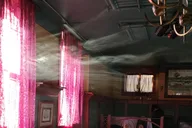 St. Louis Ghost Tour at Lemp Mansion 90 min thumbnail 2