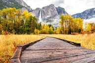 Yosemite Giant Sequoia Grove Hike or Snowshoe thumbnail 5