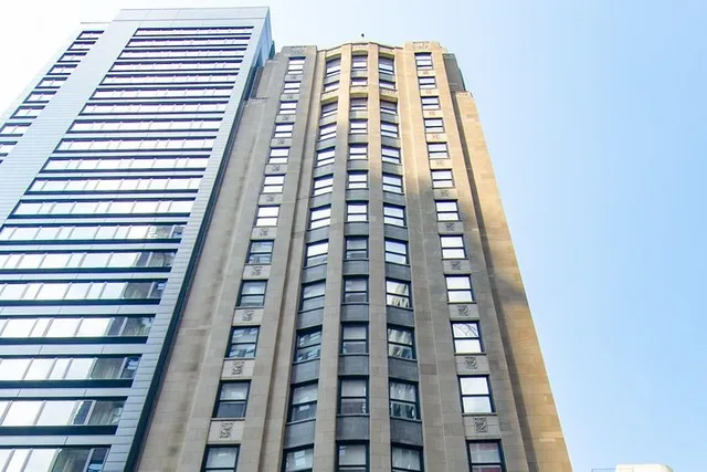 Chicago Skyscraper Evolution Tour in French - Image 3