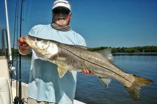 Tampa Inshore Fishing Charter