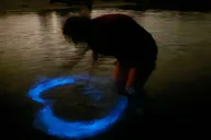 Orlando Bioluminescence Kayak Tour thumbnail 1