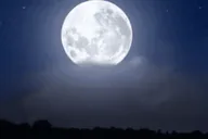 Murrells Inlet Legends & Lores Moonlight Cruise 1 hr thumbnail 1